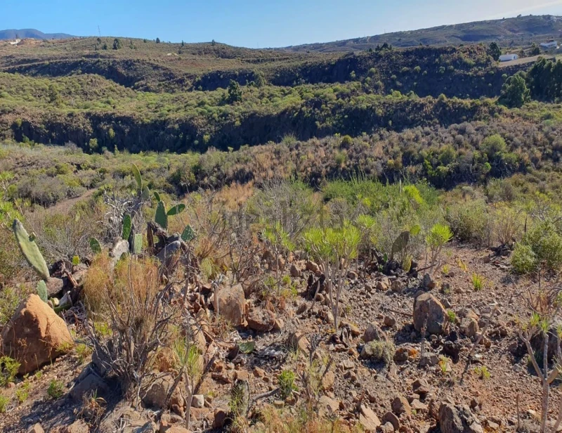 Terreno en venta en El Pinito