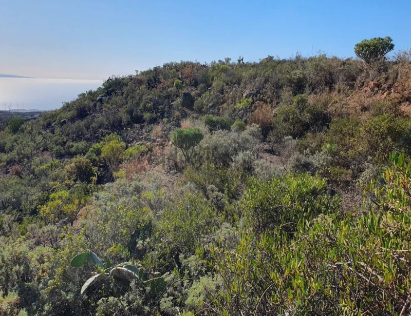 Terreno en venta en El Pinito