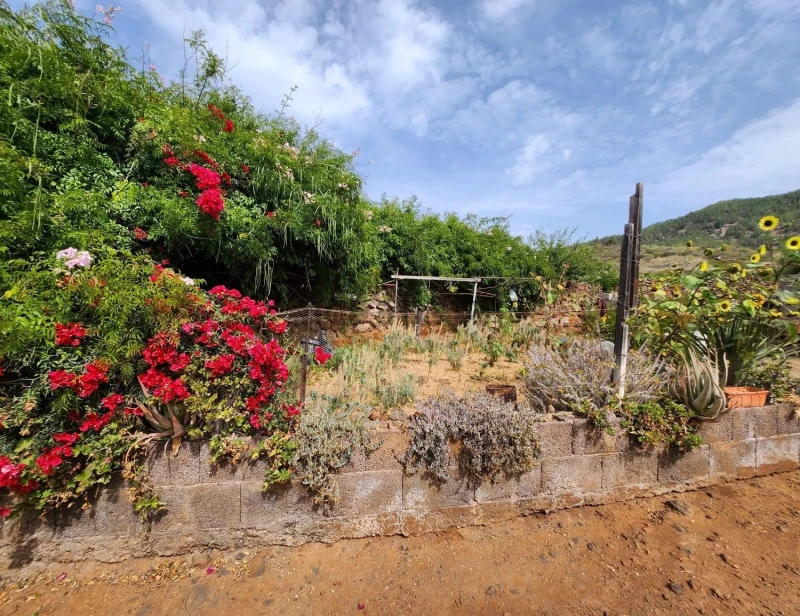 Terreno en venta en Granadilla de Abona