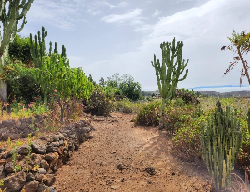 Terreno en venta en Granadilla de Abona