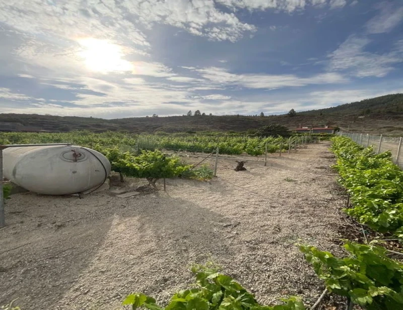 Terreno en venta en Granadilla