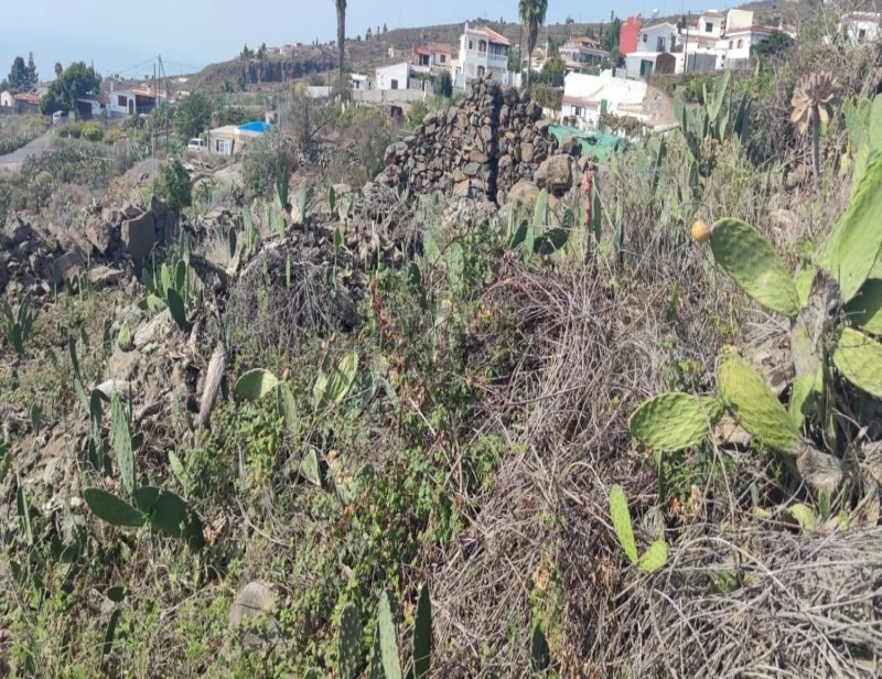 Terreno en venta en calle Lomo del Caballo