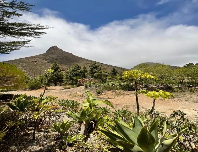 Terreno en venta en Vilaflor