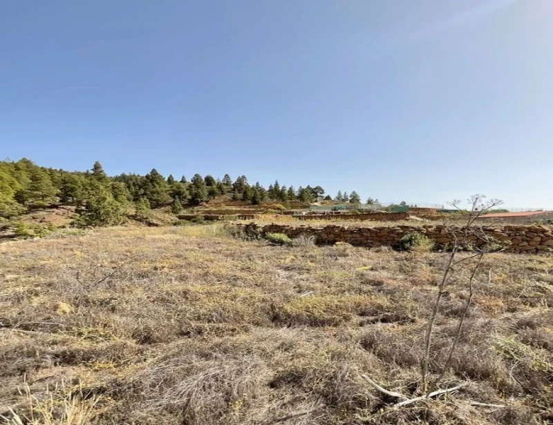 Terreno en Charco del Pino